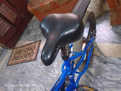 best cycle blue colour and alloy ram and stem and double disc brake
