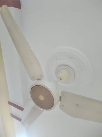 Lahore Ceiling fan in good condition