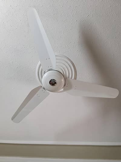 Pakfan Deluxe Plus Ceiling Fans Model 2012 56" 4pcs