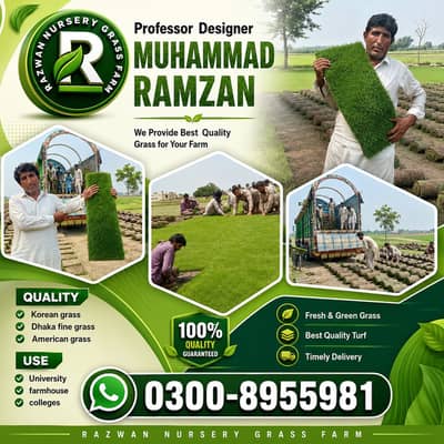 Natural Grass, Lawn Grass, Turf Grass, Garden Grass, Landscape Design