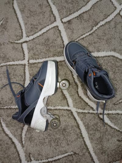 Skating shoes