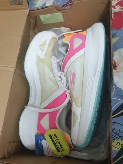 Brand New  Sketchers Female Ruuners