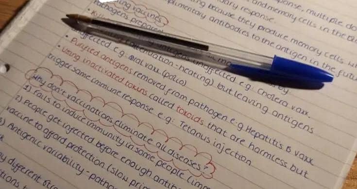 Assignment work writing 0