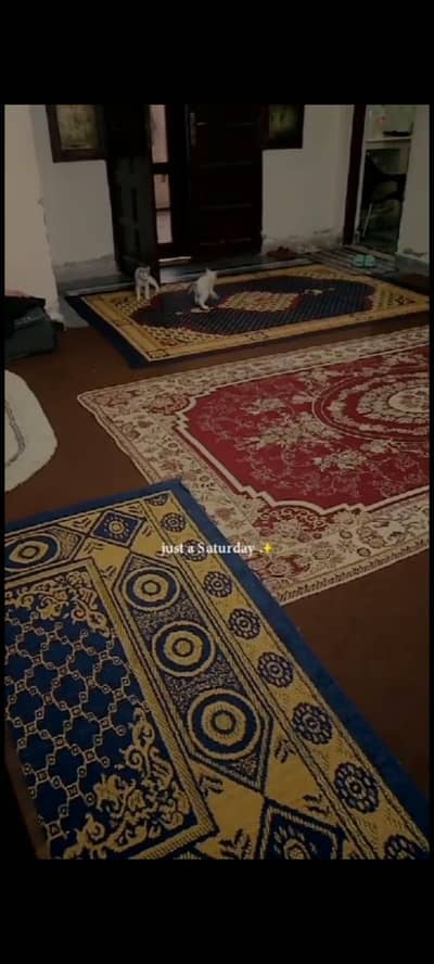 carpet And kaleen for sale  urgent