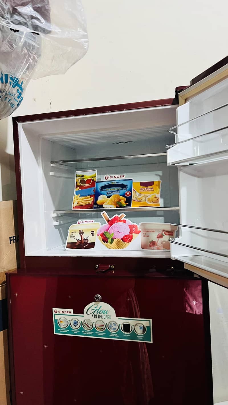 Singer Refrigerator 4