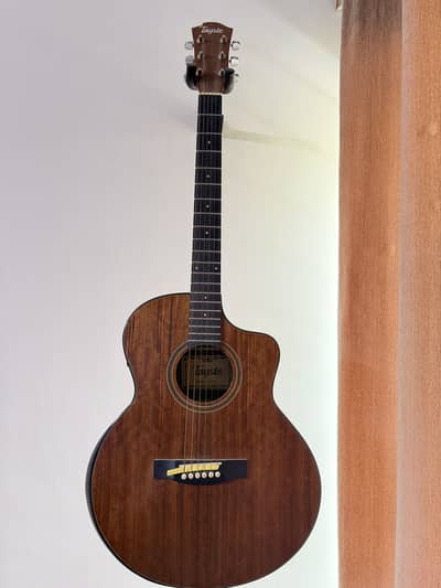 Tayste Semi Acoustic Guitar