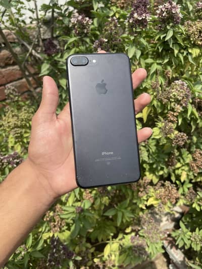 iPhone 7 Plus Pta approved