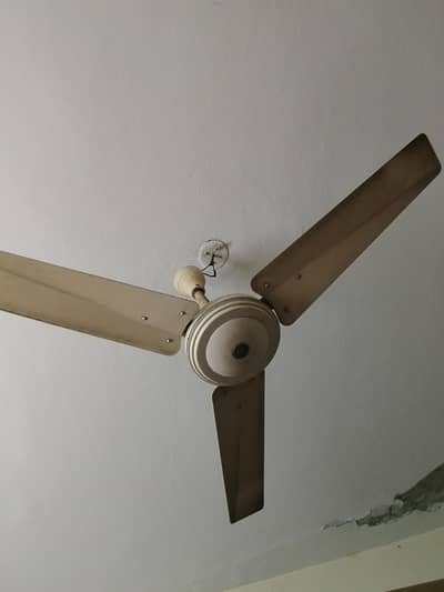 Fan for sale