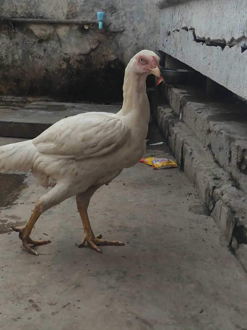 rabita karr — photo 2