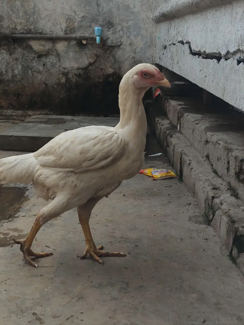rabita karr — photo 3