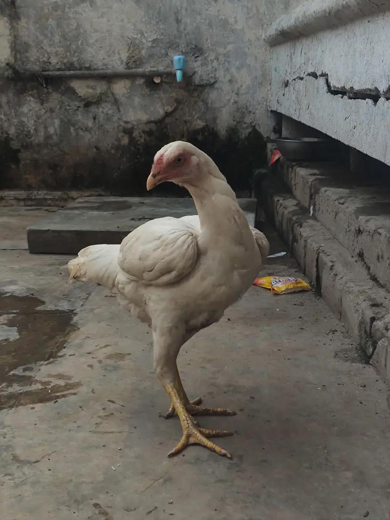 rabita karr — photo 5