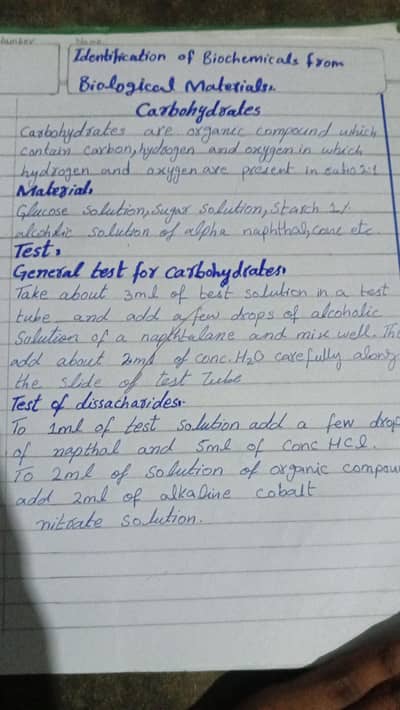 assignment writing