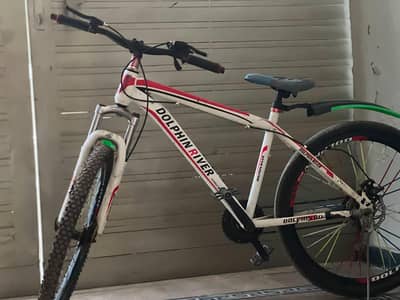 Dolphin Company Cycle Good Condition