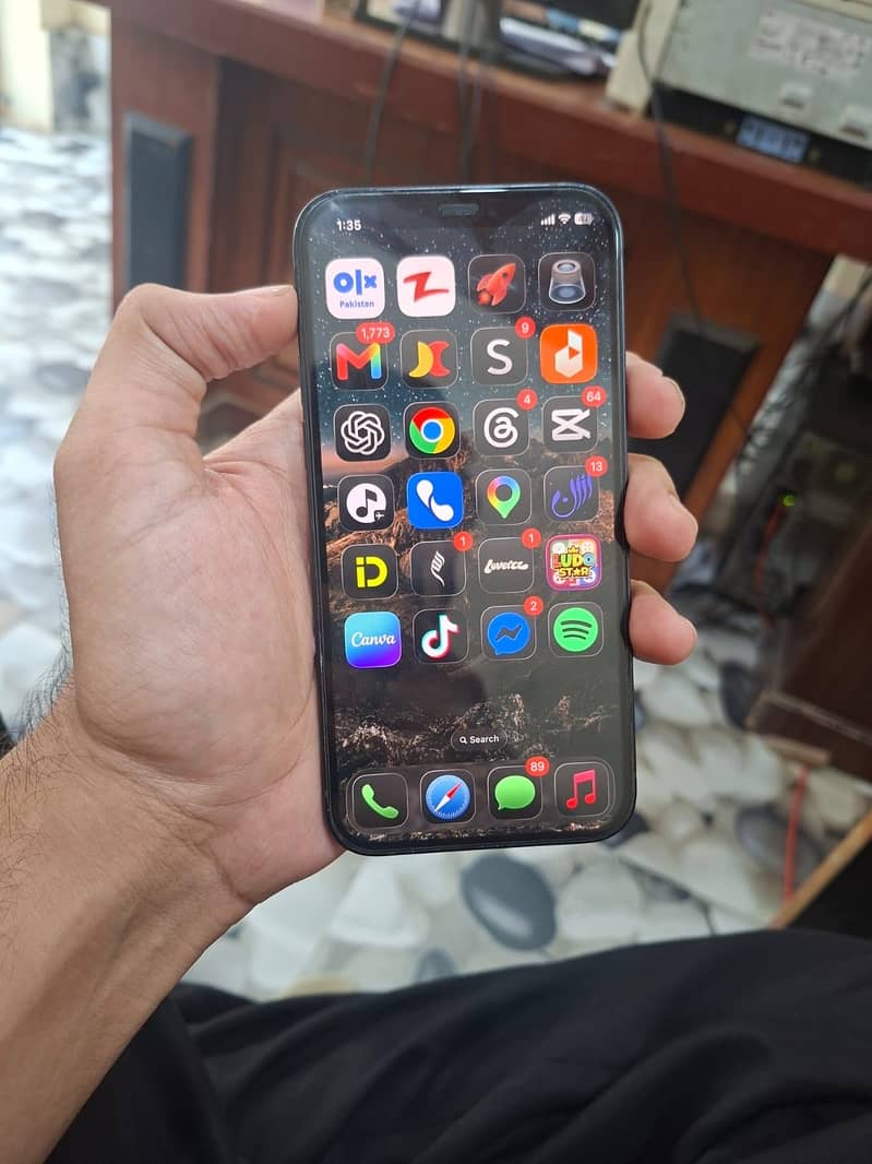 Apple iPhone 12 1