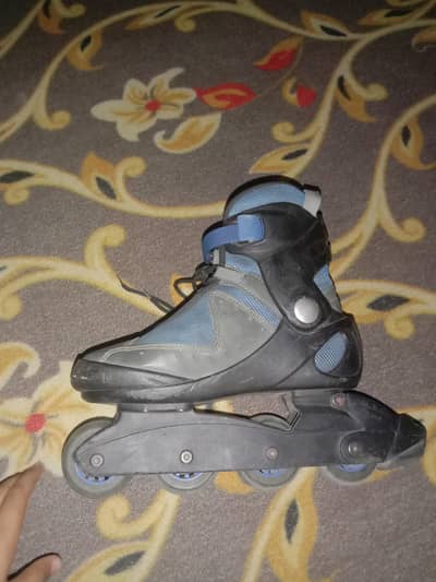 shoes skate