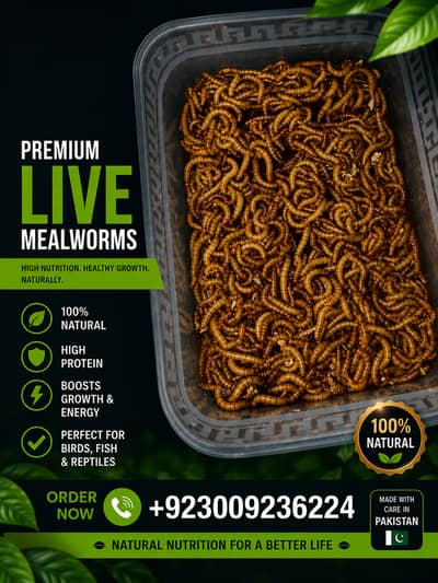 mealworms | birds food | parrot , hens , birds , fish food |meal worm