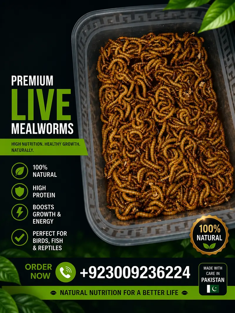 mealworms | birds food | parrot , hens , birds , fish food |meal worm