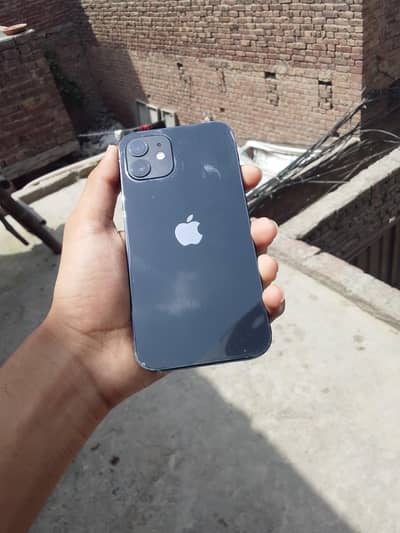 Apple iPhone 12