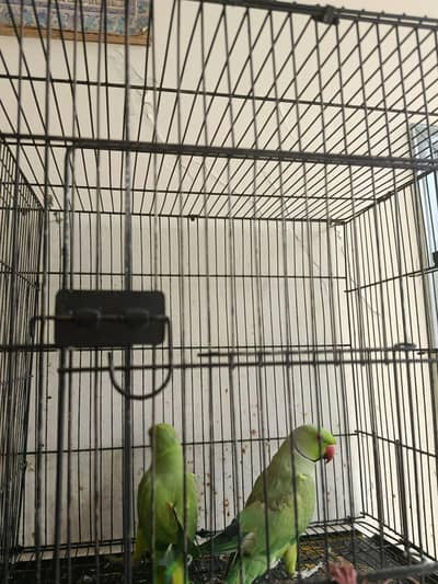2 katah