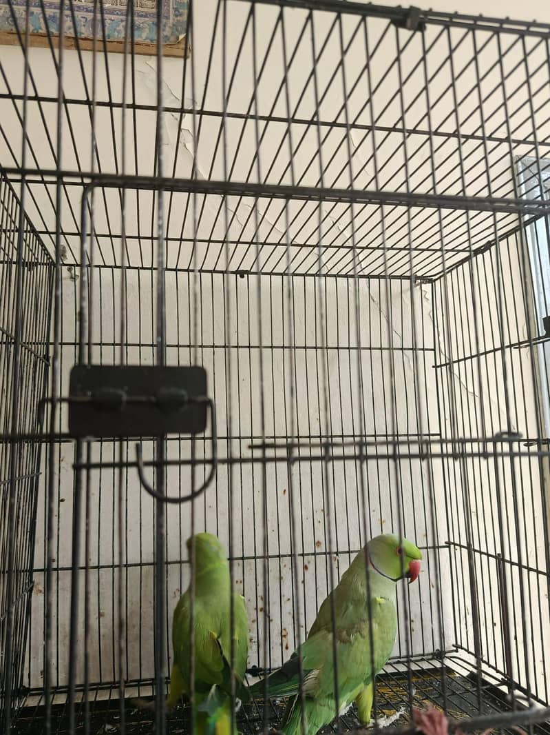 2 katah 0