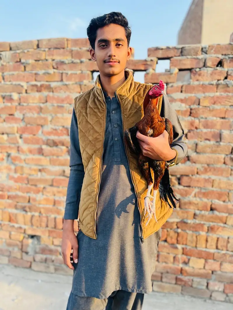 aseeo maillnwail — photo 4