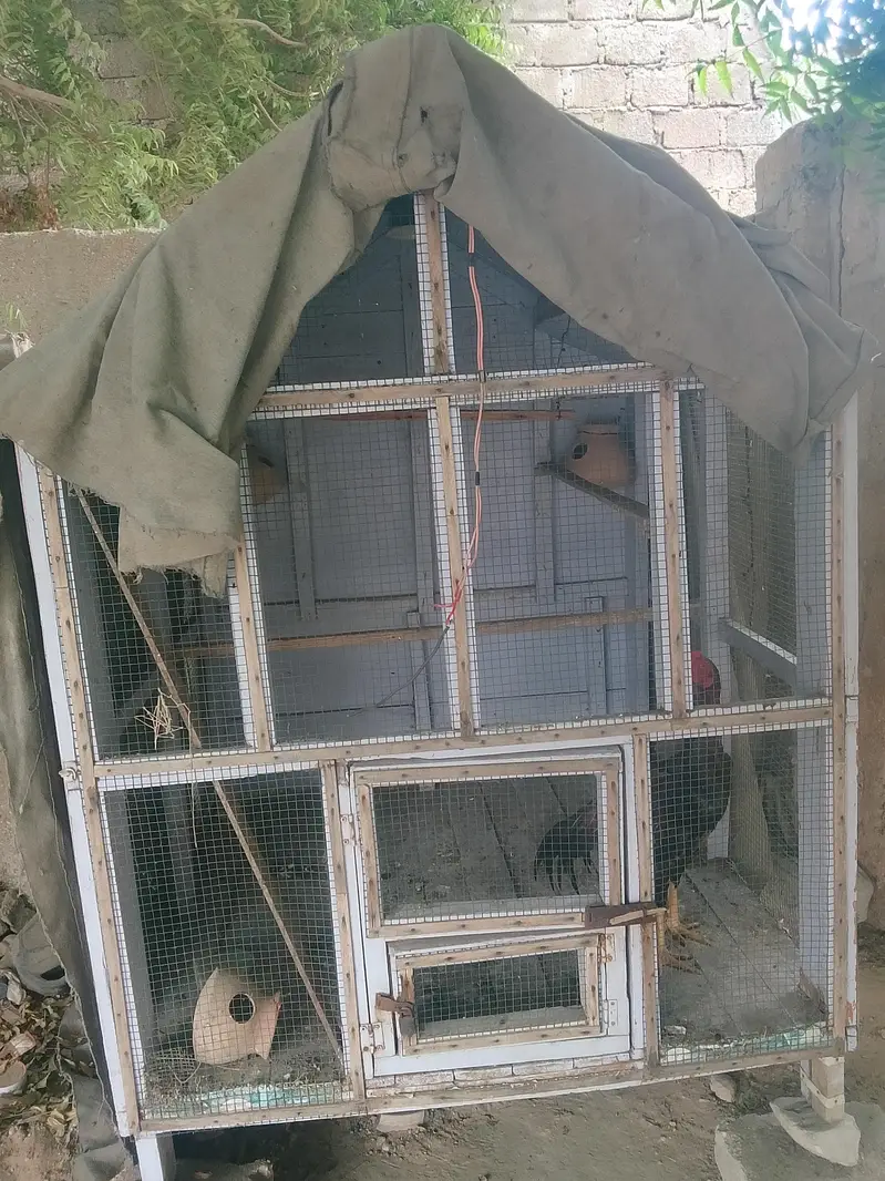 birds cage — photo 4