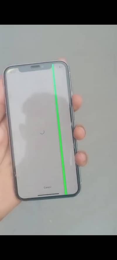 Apple iPhone X