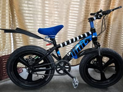 mountain bicycle