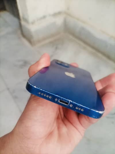 Apple iPhone 12