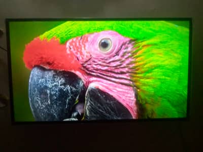 Samsung Smart tv 43 inch Series 6 03131104887