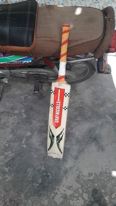 cricket