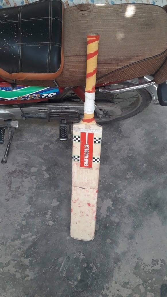 cricket 2