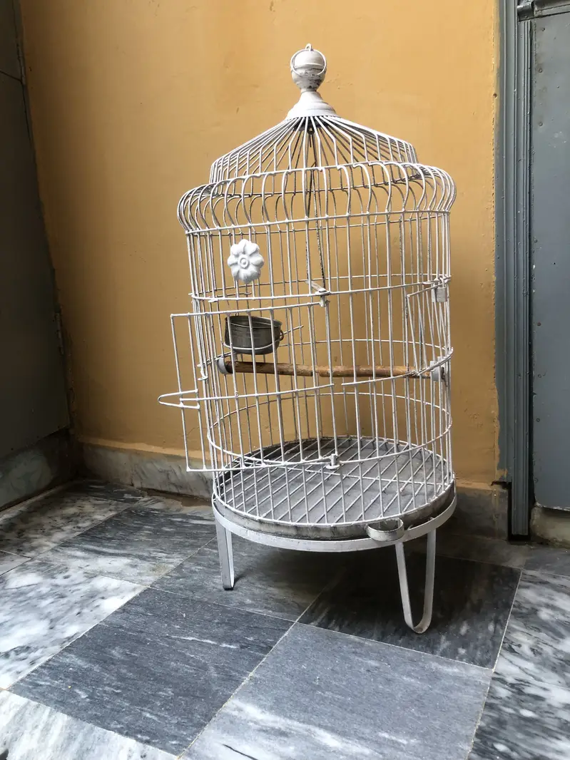 Parrot cage — photo 3