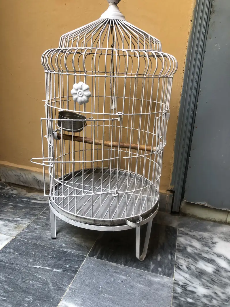 Parrot cage — photo 4