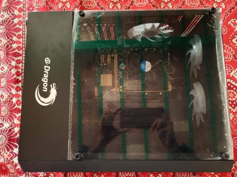 Dragon New Casing 3