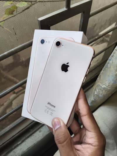 Iphone 8 Pta Approved