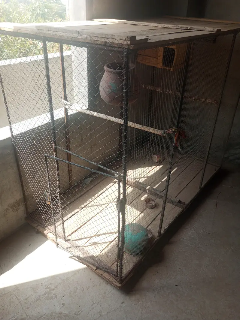 bird cage for sale hight 4foot length 6 feet mob0306*290*6147 — photo 2