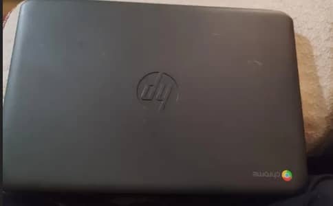 hp chromebook
