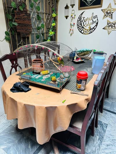 wooden dining table with mirror no damaged