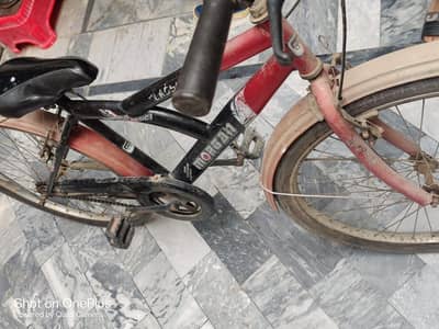 bicycle for sale