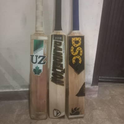 Hard ball cricket bats