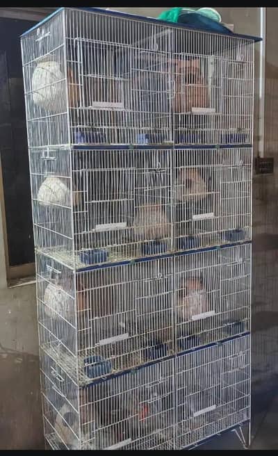 8 PORTION PREMIUM CAGE AVAILABLE FOR SELL