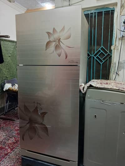 kenwood refrigerator new eng persons plus