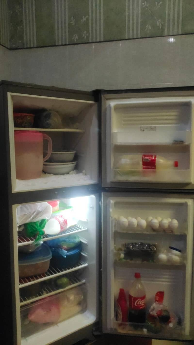 frige 1