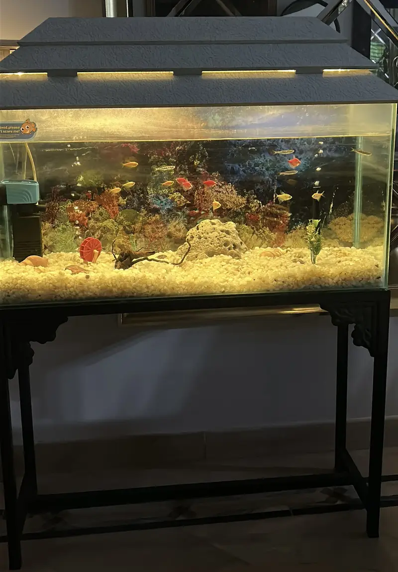 Fish Aquarium — photo 2