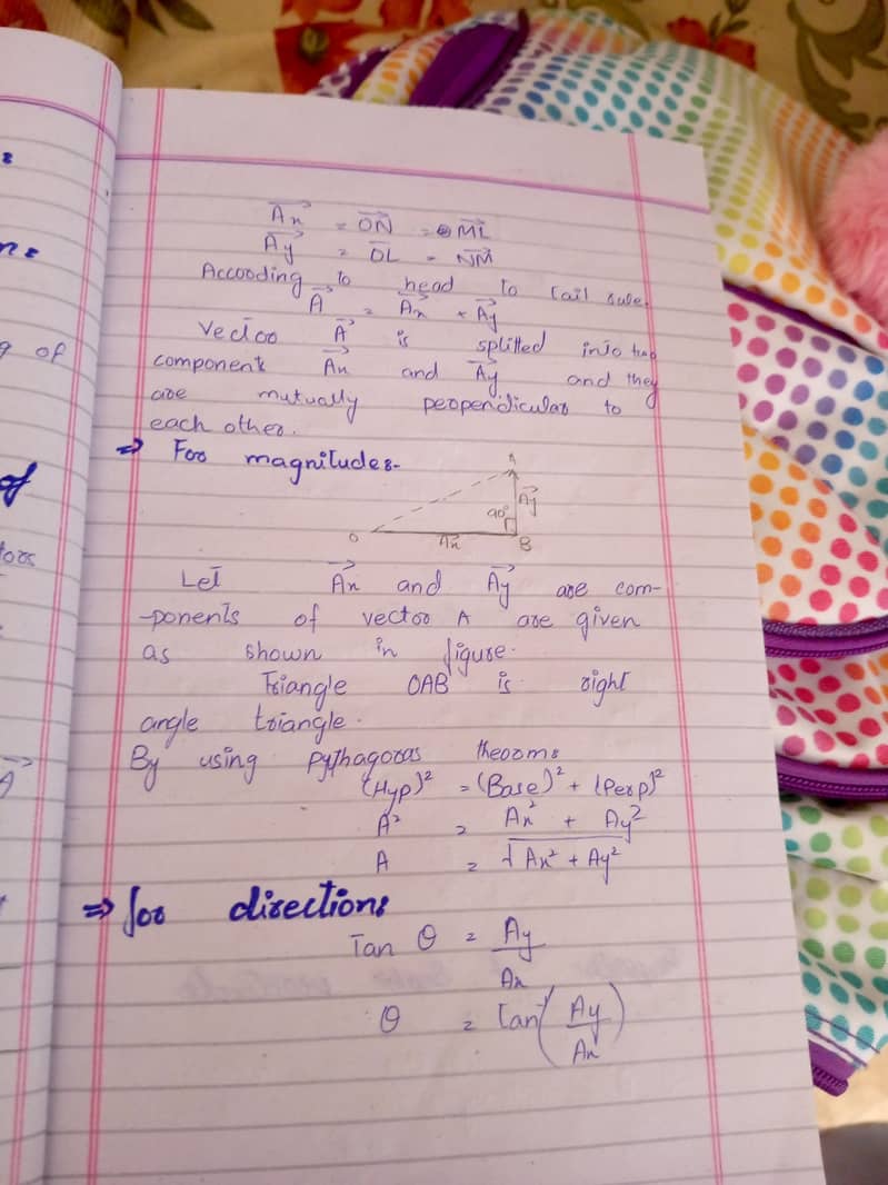 Assignment writing 2