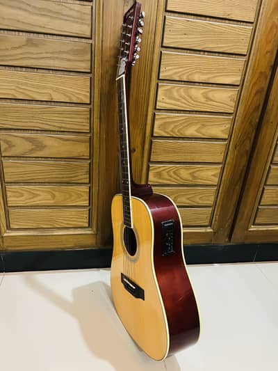 Aquistic , Semi aquistic professional guitar