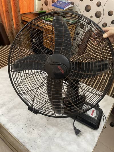 Royal Bracket fan