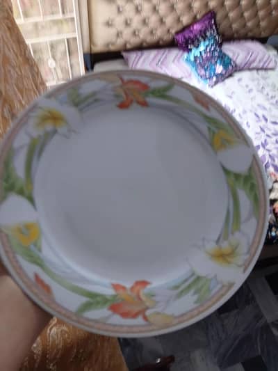 Dining Plates. Large size