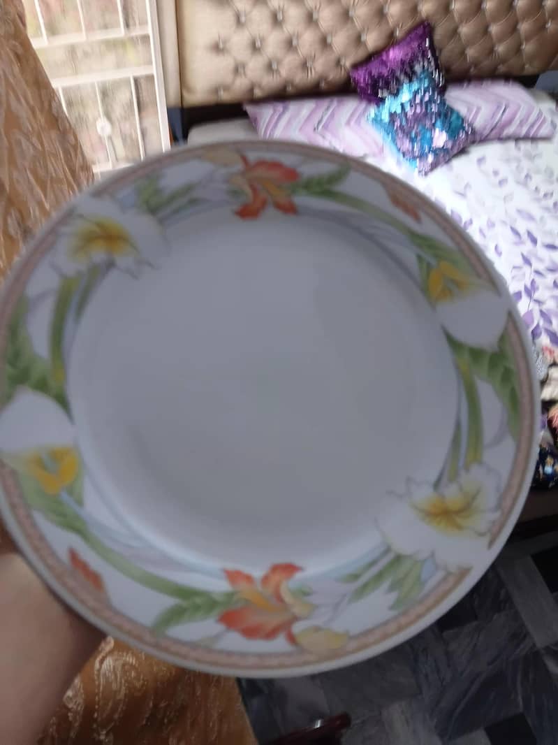 Dining Plates. Large size 0